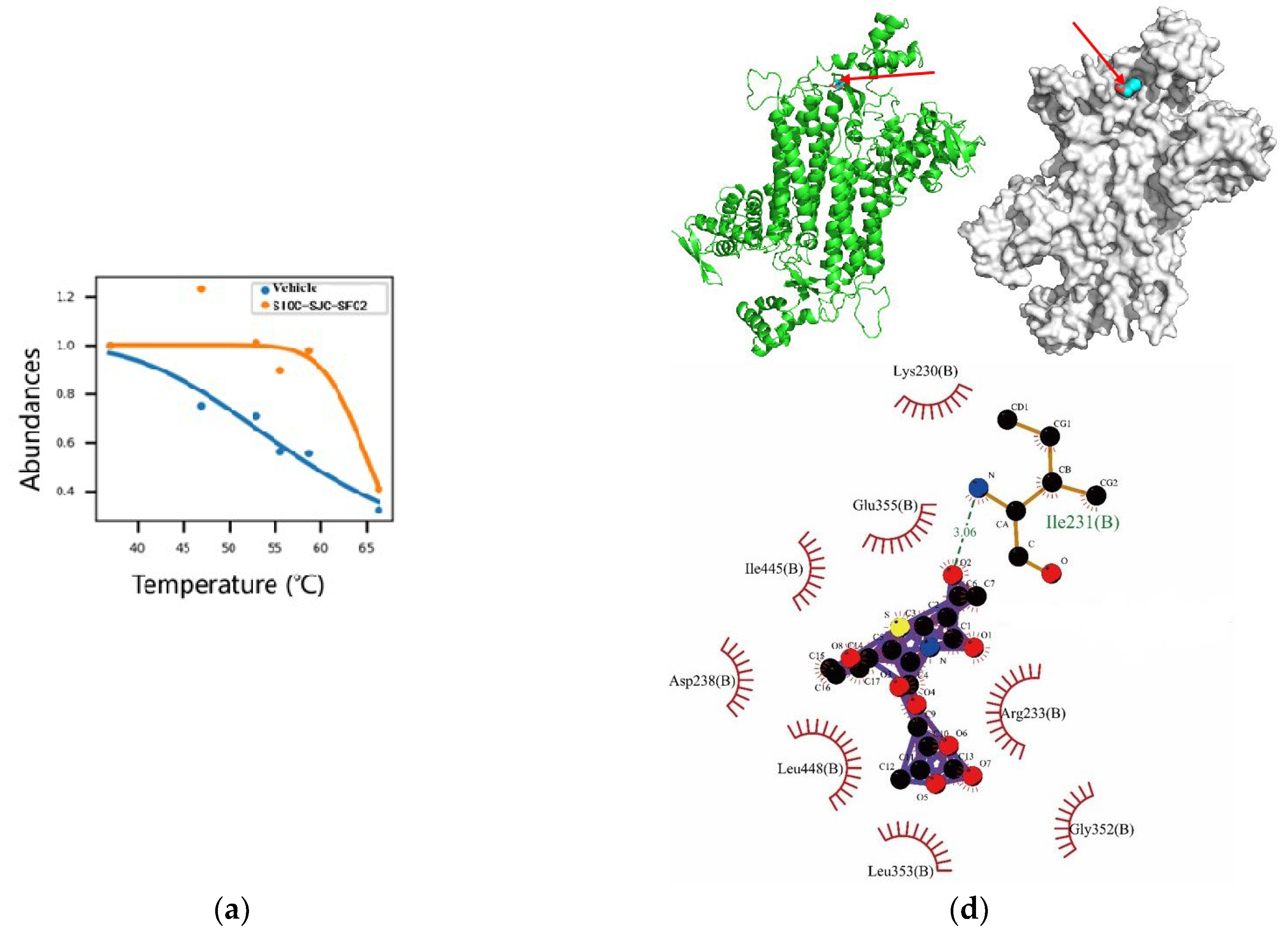 Pharmaceuticals 16 01705 g005a