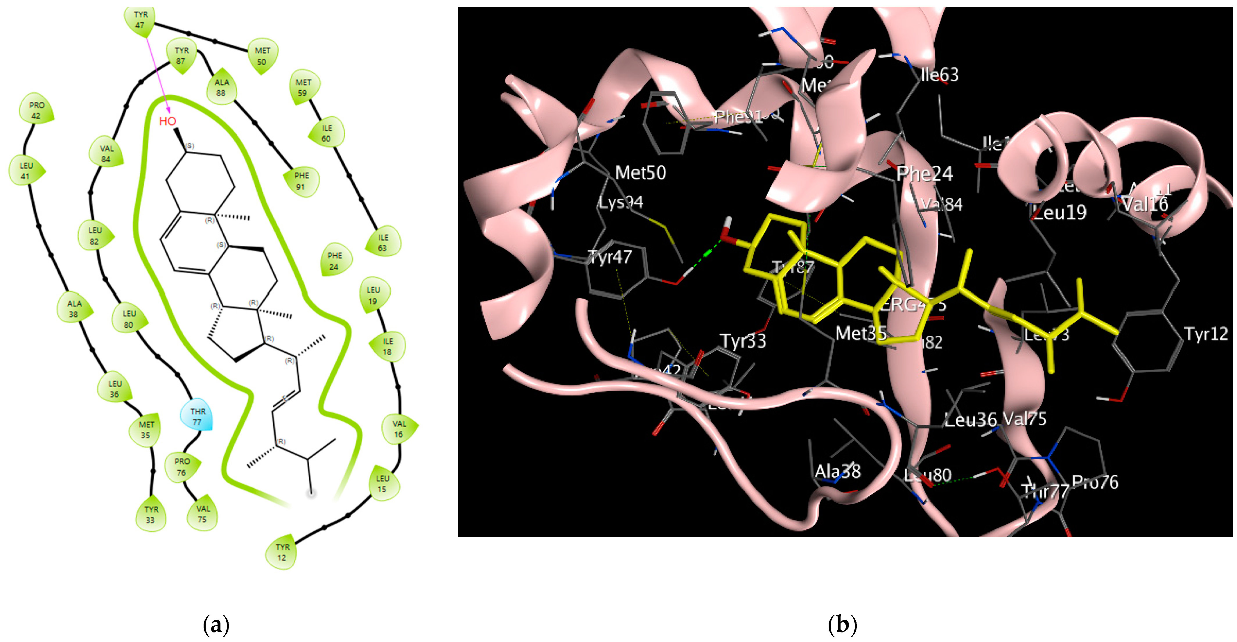 Pharmaceuticals 17 00188 g003