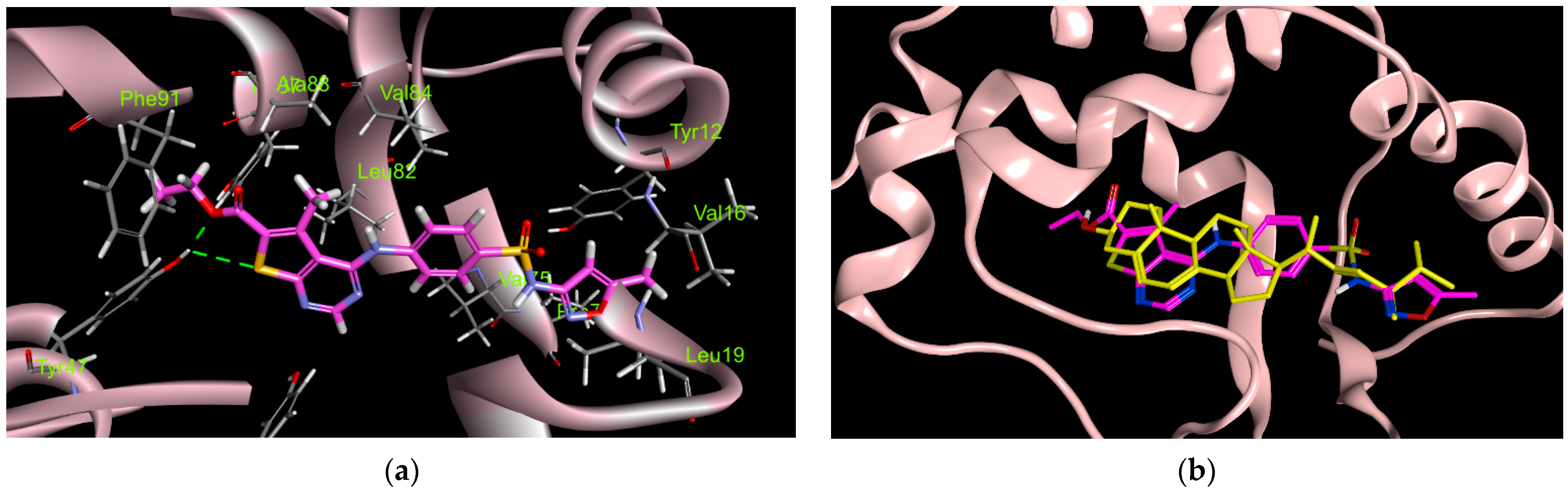 Pharmaceuticals 17 00188 g005