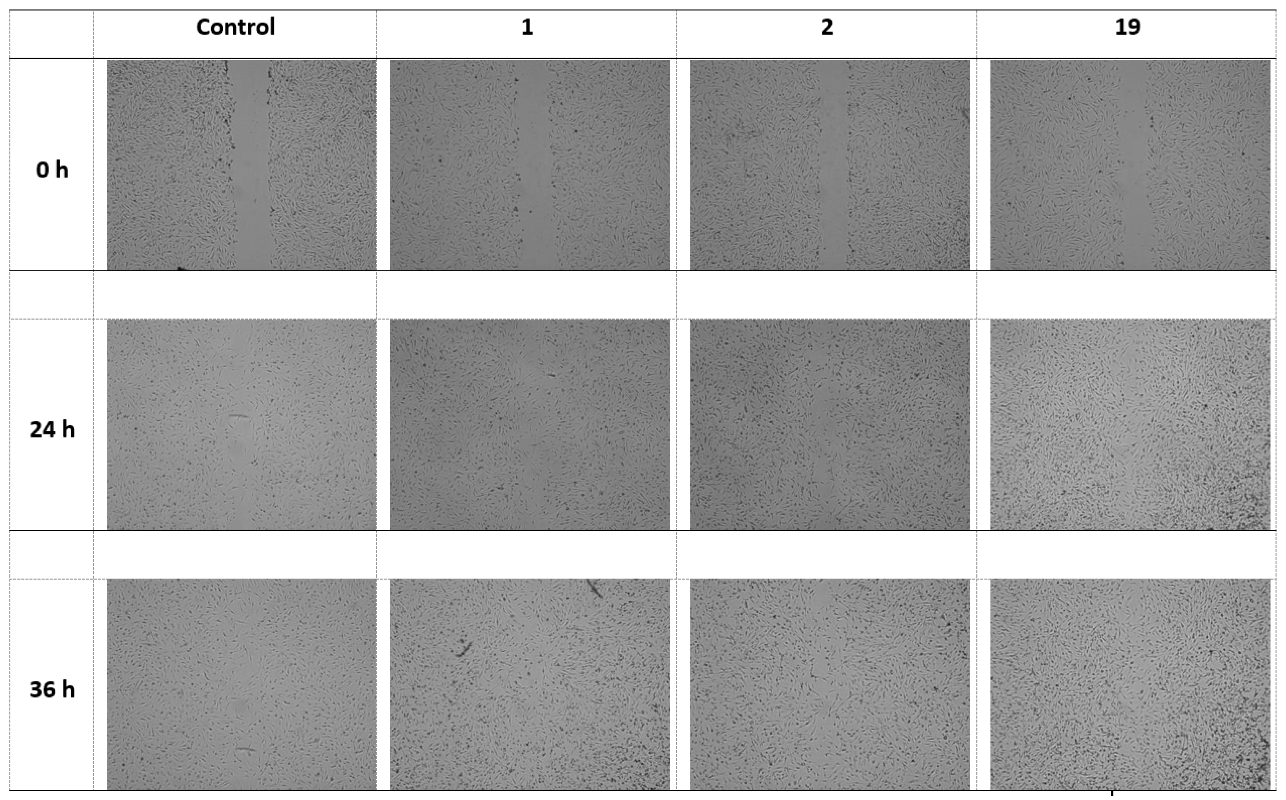 Pharmaceuticals 17 00618 g004