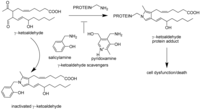 Pharmaceutics 02 00018 g001 200