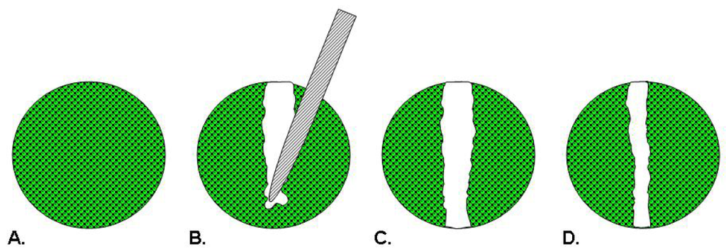 Pharmaceutics 03 00107f1 1024