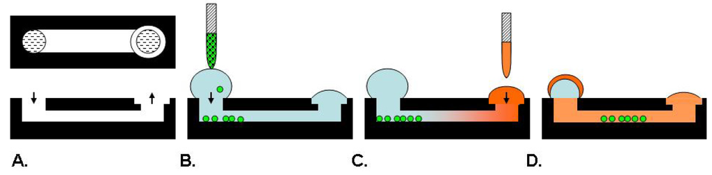 Pharmaceutics 03 00107f3 1024