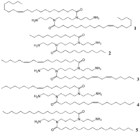 Pharmaceutics 03 00125f1 200