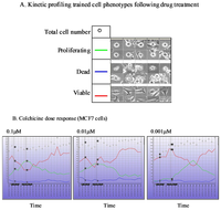 Pharmaceutics 03 00141f3 200