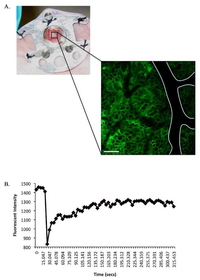 Pharmaceutics 03 00141f6 200