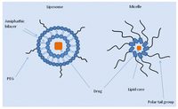 Pharmaceutics 03 00171f1 200