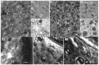 Pharmaceutics 03 00275f3 200