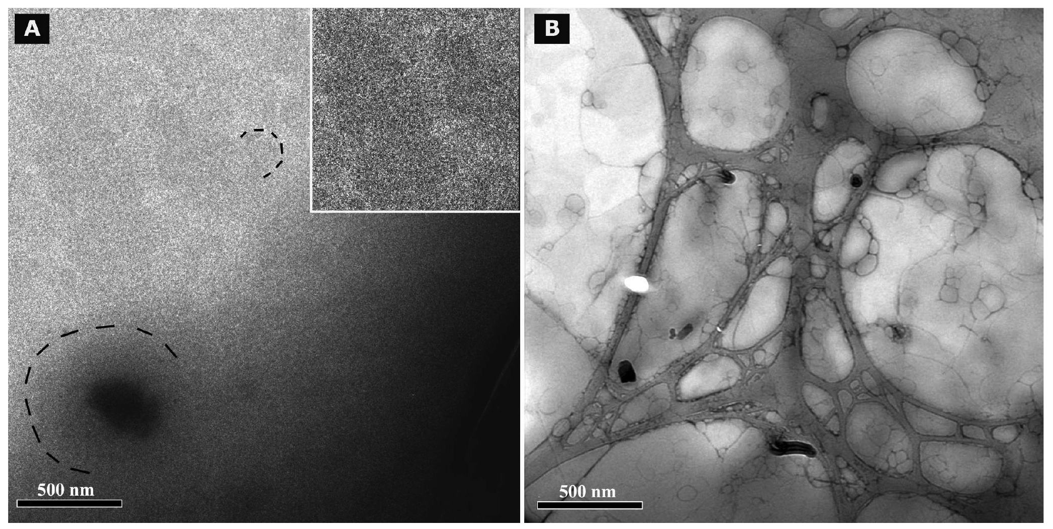 Pharmaceutics 03 00275f5 1024