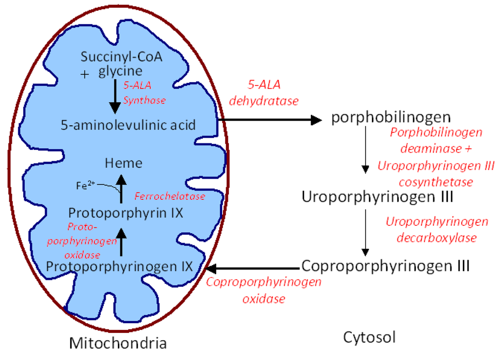 Pharmaceutics 03 00354f1 1024