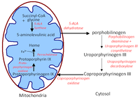 Pharmaceutics 03 00354f1 200