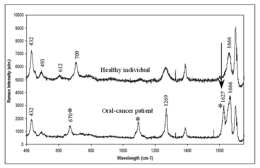 Pharmaceutics 03 00354f6 1024