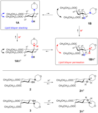 Pharmaceutics 03 00379f1 200