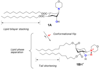 Pharmaceutics 03 00379f9 200