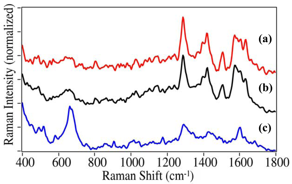 Pharmaceutics 03 00425f7 1024