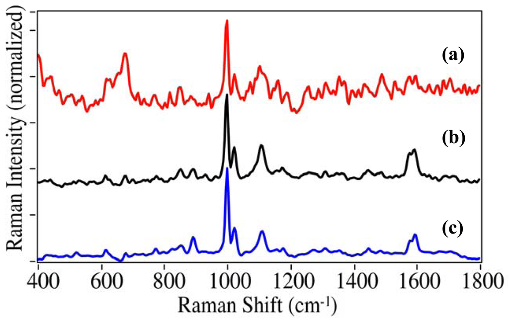 Pharmaceutics 03 00425f9 1024