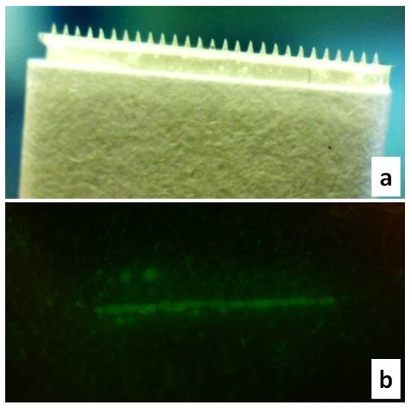 Pharmaceutics 03 00474f5 1024