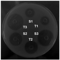 Pharmaceutics 03 00572f2 200