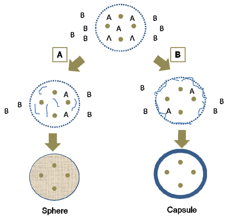 Pharmaceutics 03 00793f11 1024
