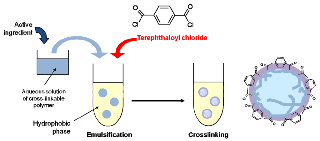 Pharmaceutics 03 00793f12 1024