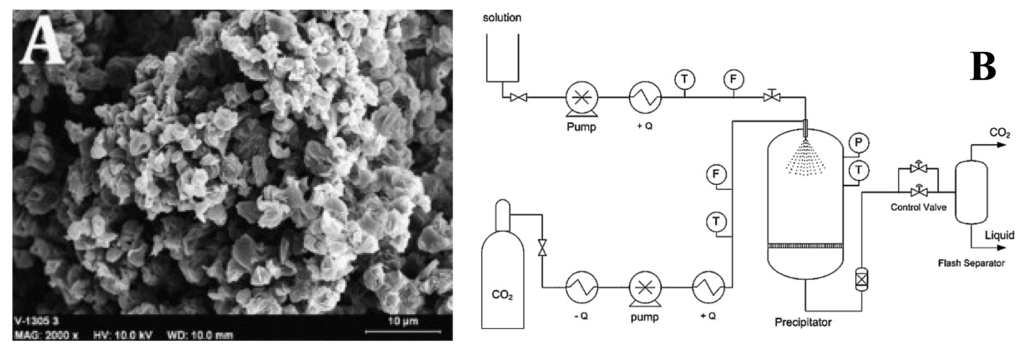 Pharmaceutics 03 00793f3 1024