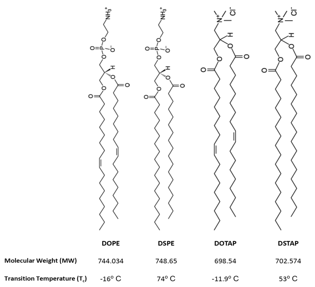 Pharmaceutics 03 00848f1 1024
