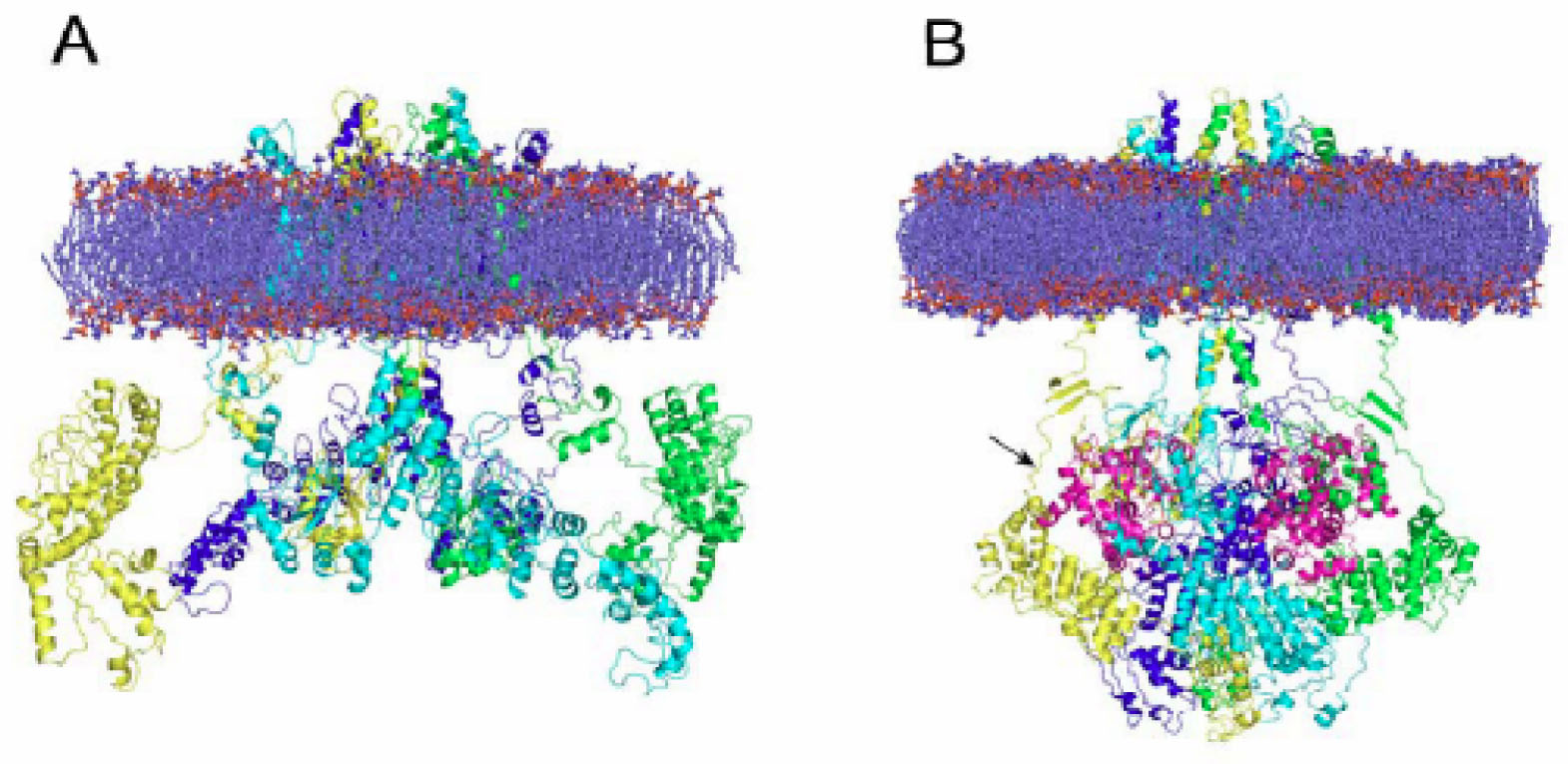 Pharmaceutics 03 00932f1 1024