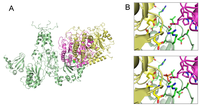 Pharmaceutics 03 00932f2 200