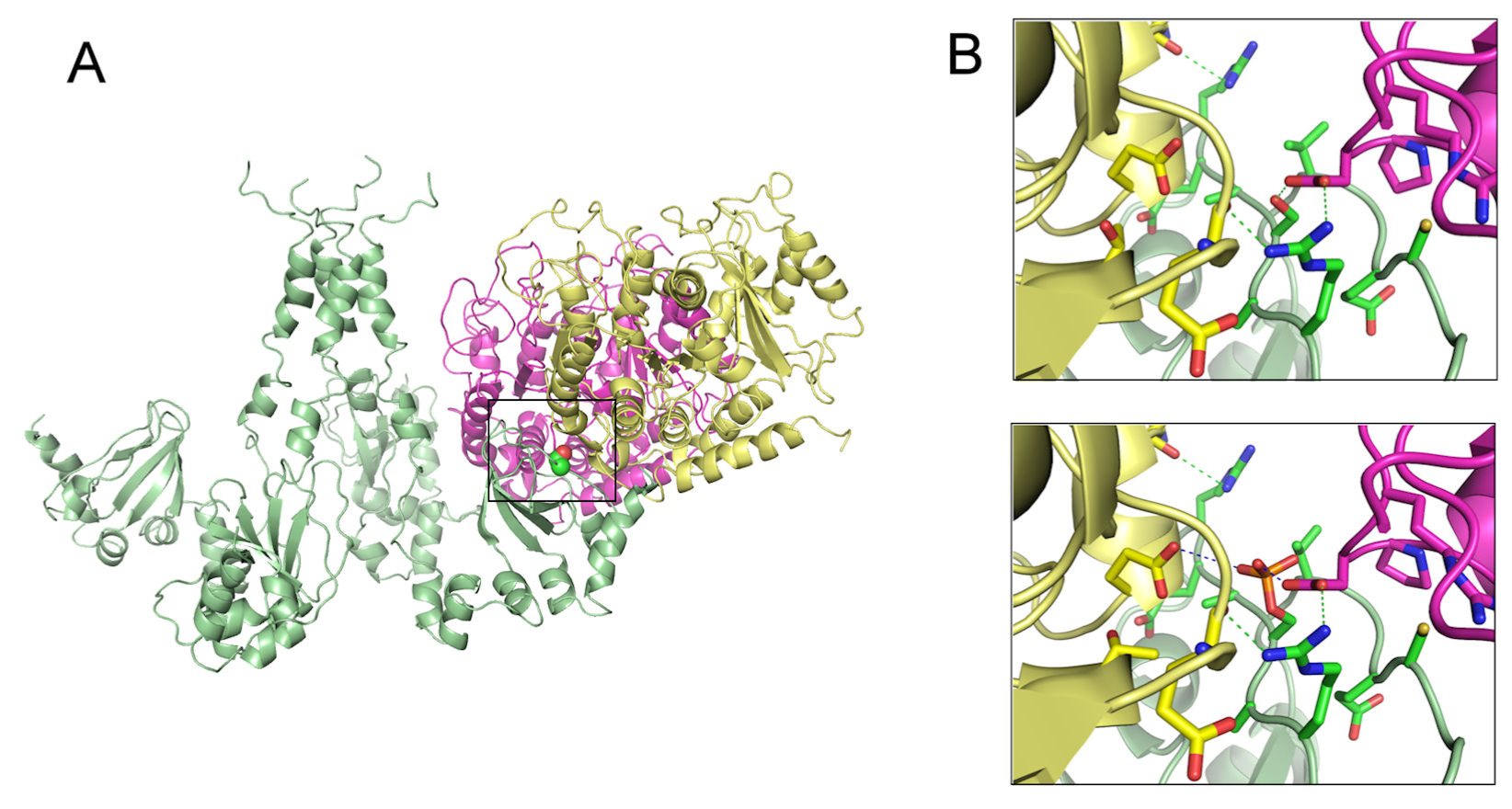 Pharmaceutics 03 00932f2 1024