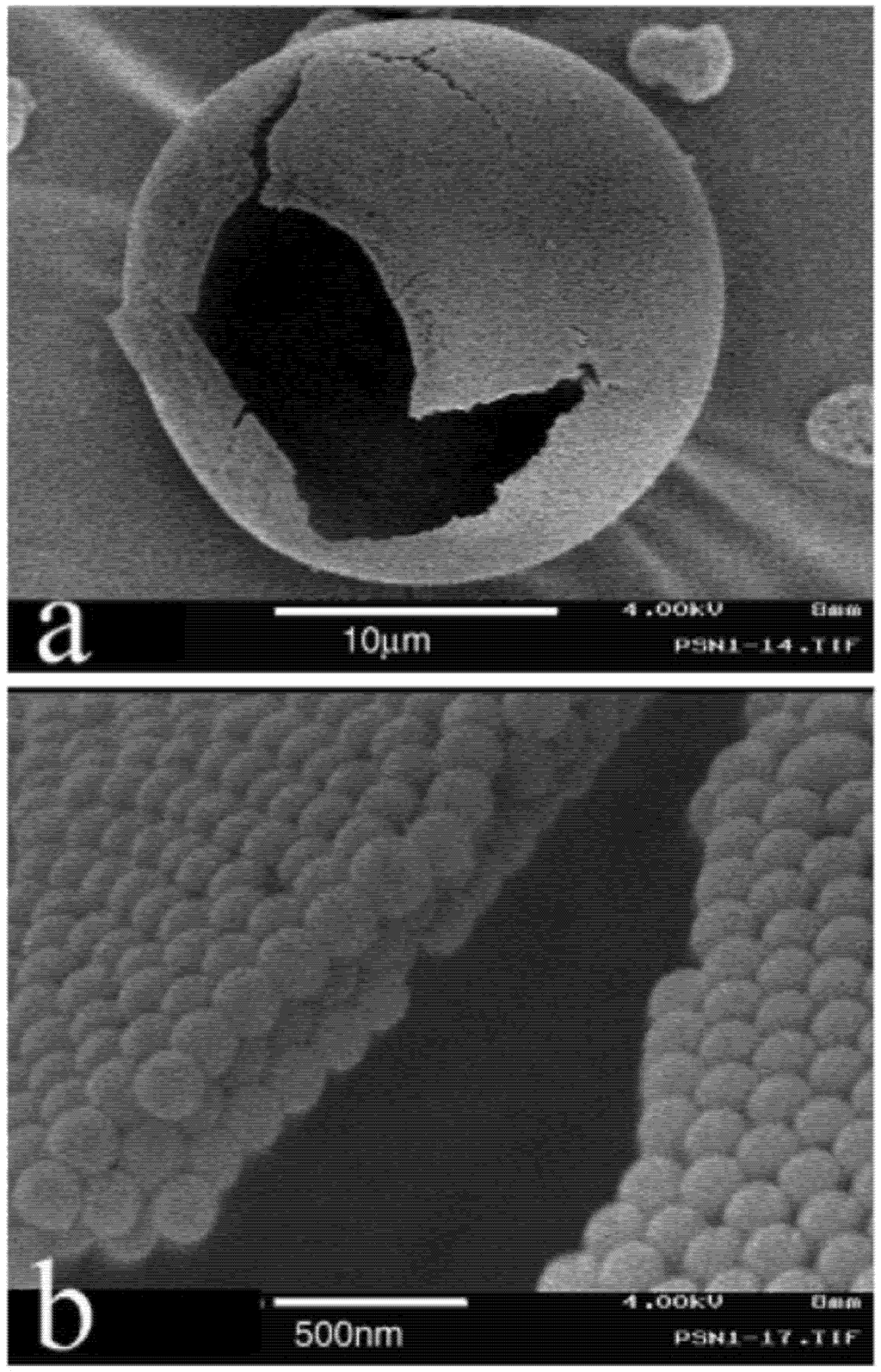 Pharmaceutics 04 00001 g002 1024