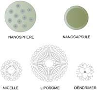 Pharmaceutics 04 00252 g002 200