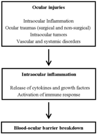 Pharmaceutics 04 00252 g003 200