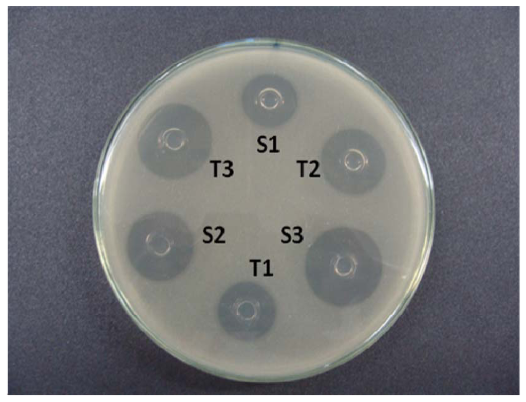 Pharmaceutics 04 00334 g002 1024