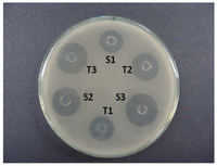 Pharmaceutics 04 00334 g002 200