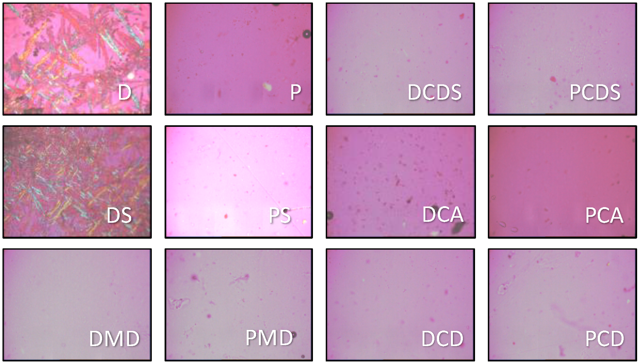 Pharmaceutics 04 00551 g004