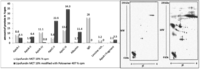 Pharmaceutics 05 00036 g005 200