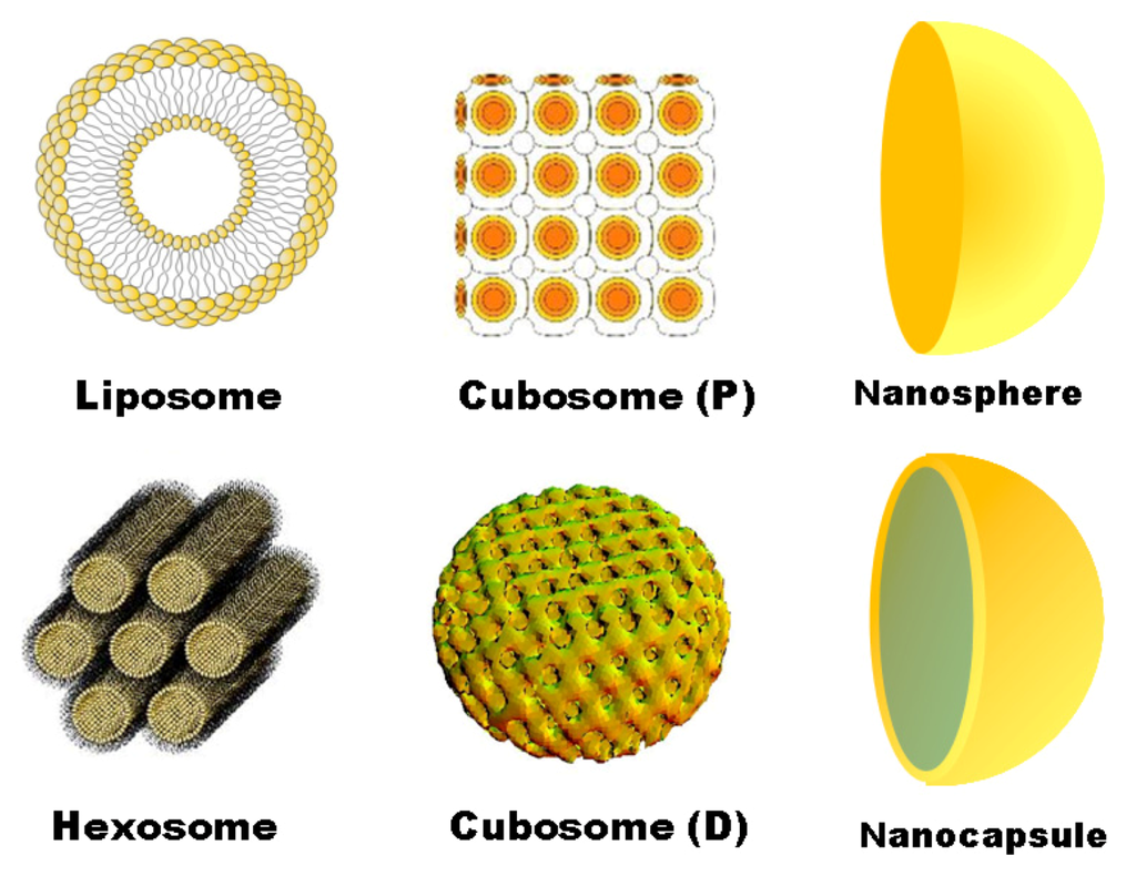 Pharmaceutics 05 00127 g005 1024