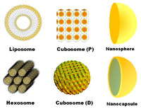 Pharmaceutics 05 00127 g005 200