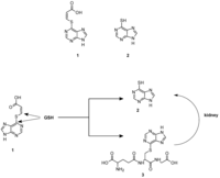 Pharmaceutics 05 00220 g002 200