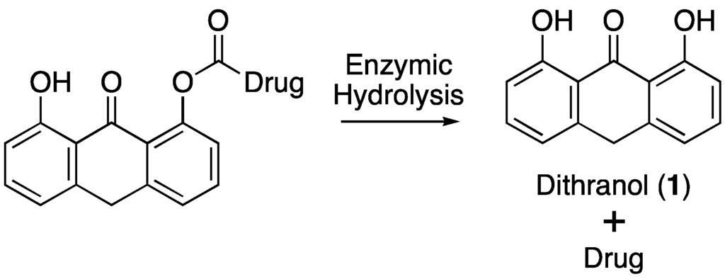Pharmaceutics 05 00232 g001 1024