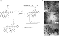 Pharmaceutics 05 00294 g002 200