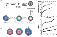 Pharmaceutics 05 00294 g004 200
