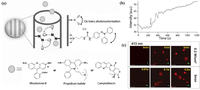 Pharmaceutics 05 00294 g007 200