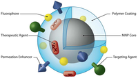 Pharmaceutics 05 00294 g009 200