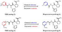 Pharmaceutics 05 00318 g002 200