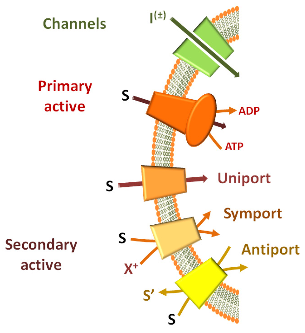 Pharmaceutics 05 00472 g001 1024