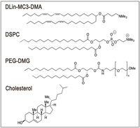 Pharmaceutics 05 00498 g001 200