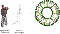 Pharmaceutics 05 00525 g003 200
