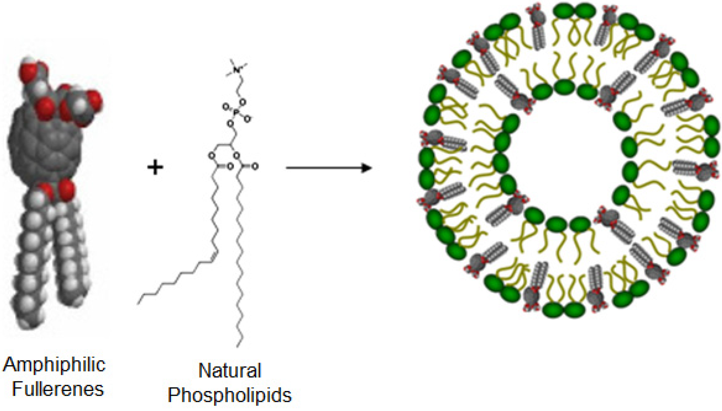 Pharmaceutics 05 00525 g003