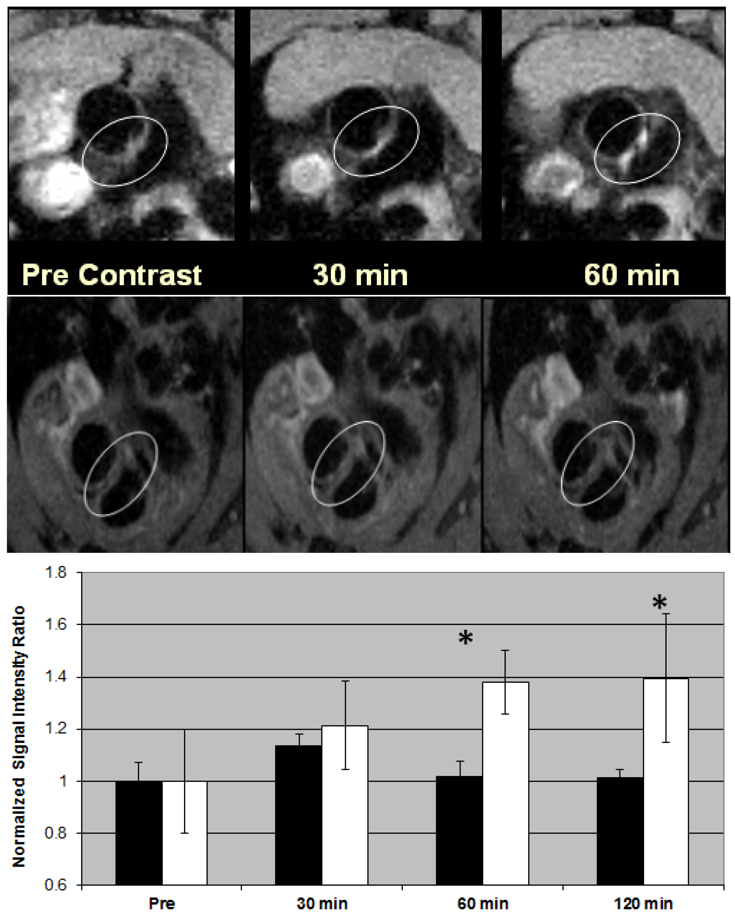 Pharmaceutics 05 00525 g005